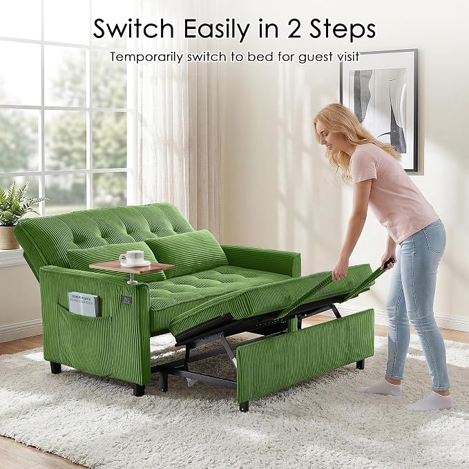 Sleeper Sofa Bed, Guest Room - Image 8