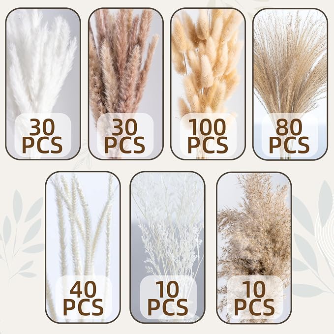 300PCS Natural Pampas Grass Mix Bouquet | Dried Pampas Bouquet - Image 4