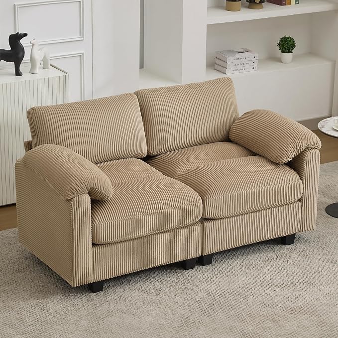 61'' Modular Loveseat Sofa, Extra Deep Seat Cloud Couch by HATPPTO