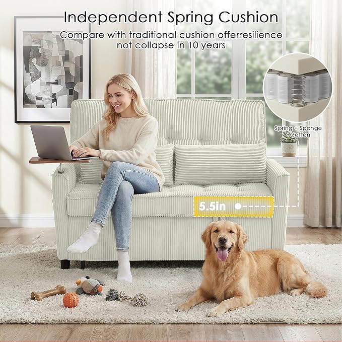 Sleeper Sofa Bed, Guest Room - Image 6