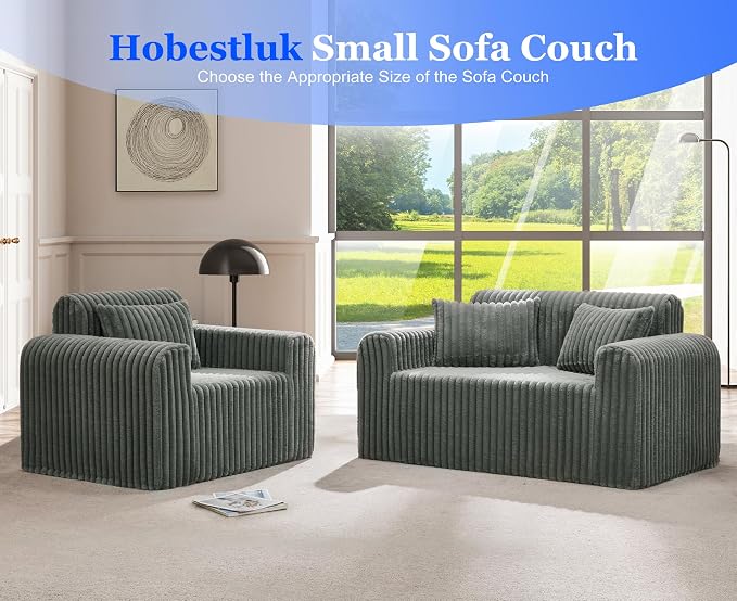 Hobestluk Couch Sofa 2-Seater Foam Sofa Loveseat - Image 6