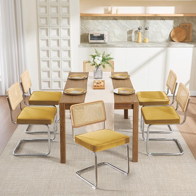 Zesthouse Rattan Dining Chairs Set of 6, Mid Century Modern Dining Room Chairs by Zesthouse