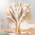 Natural Pampas Grass 8kind Grass Mix Bouquet | Dried Pampas Bouquet by Naturalpampa