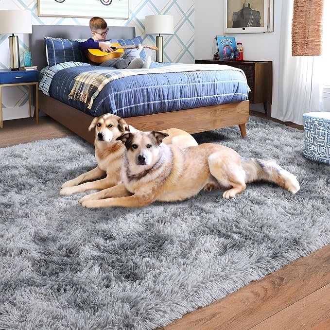 Rugs for Living Room 6x9, Soft Shaggy Modern Shag Area Rug for Bedroom - Image 3