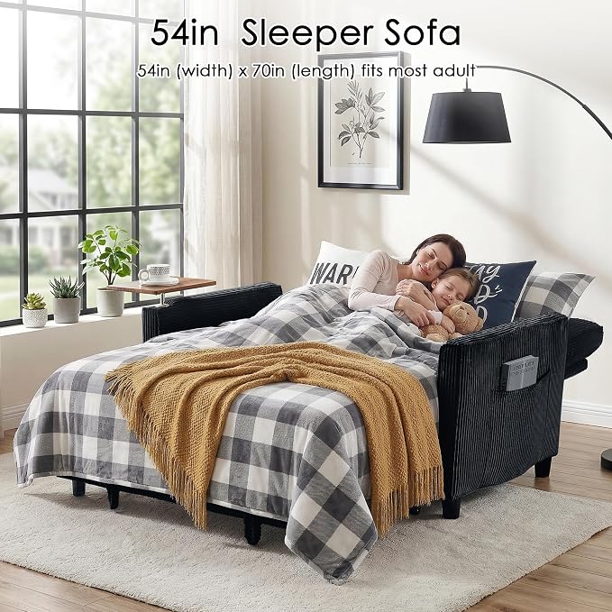 Sleeper Sofa Bed, Guest Room - Image 3
