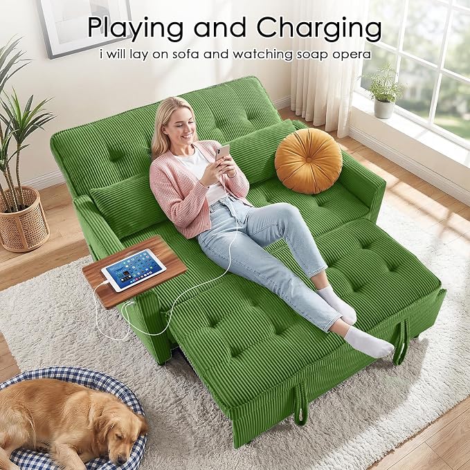 Sleeper Sofa Bed, Guest Room - Image 7