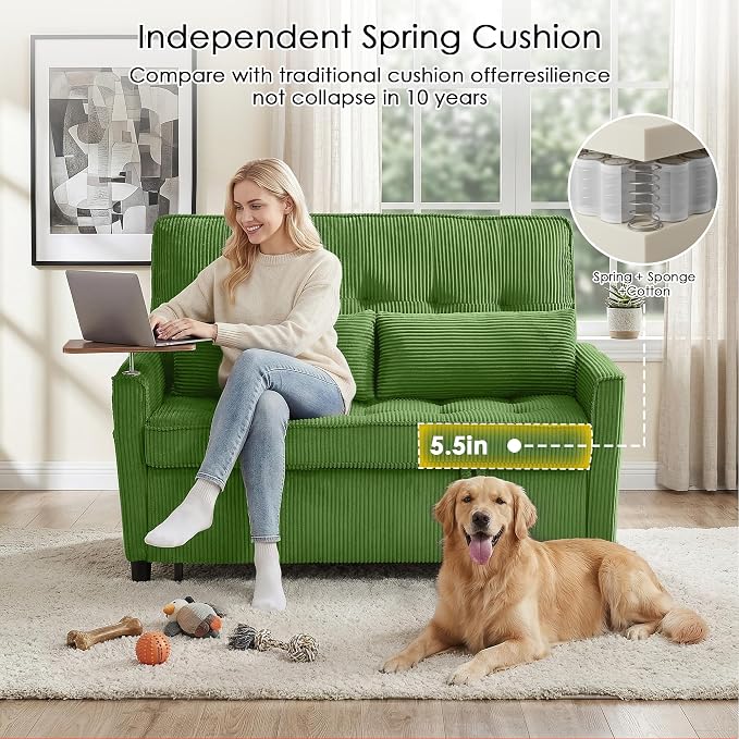 Sleeper Sofa Bed, Guest Room - Image 6