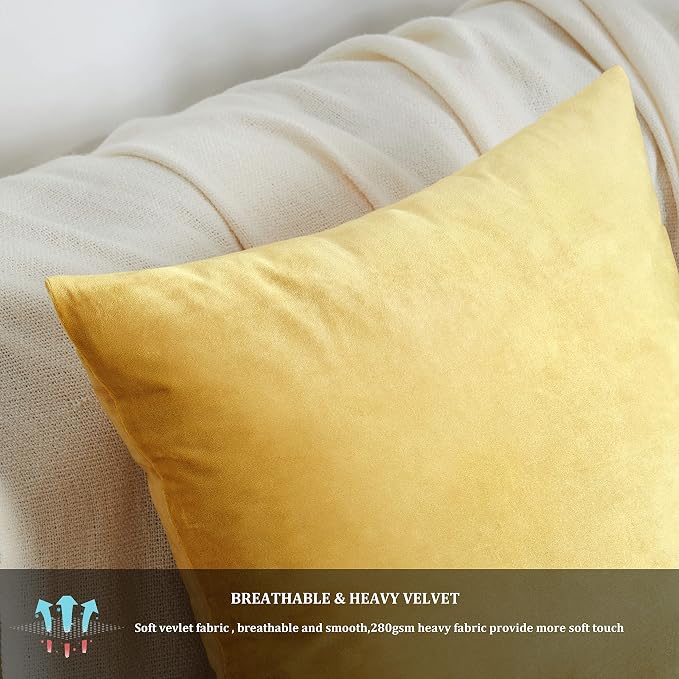 GIGIZAZA Decorative Couch Throw Pillow Covers, Pillow Cases Velvet Pillow Covers - Image 5