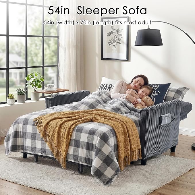 Sleeper Sofa Bed, Guest Room - Image 3