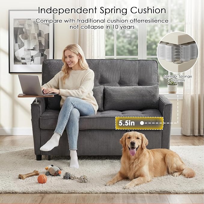 Sleeper Sofa Bed, Guest Room - Image 6