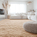 OLANLY 6x7 Area Rugs for Living Room Bedroom, Machine Washable Soft Fluffy by OLANLY