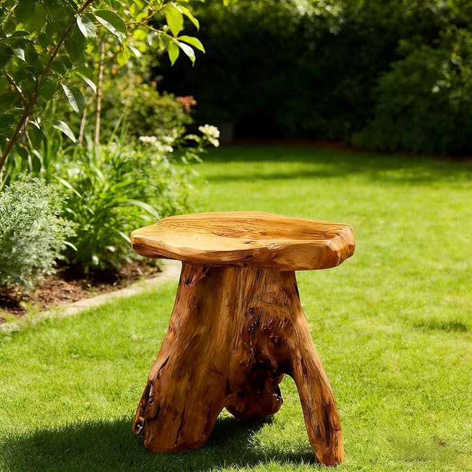 Greenage Cedar Roots Mushroom Accent Stool 12" x 15" x 13.5" Height Natural - Image 4