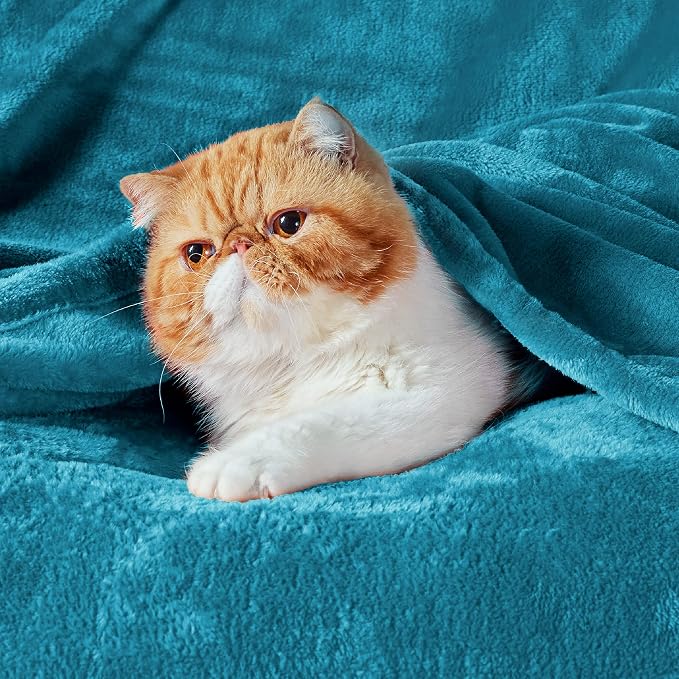 Bedsure GentleSoft Fleece Blankets Queen Size Teal - Image 2