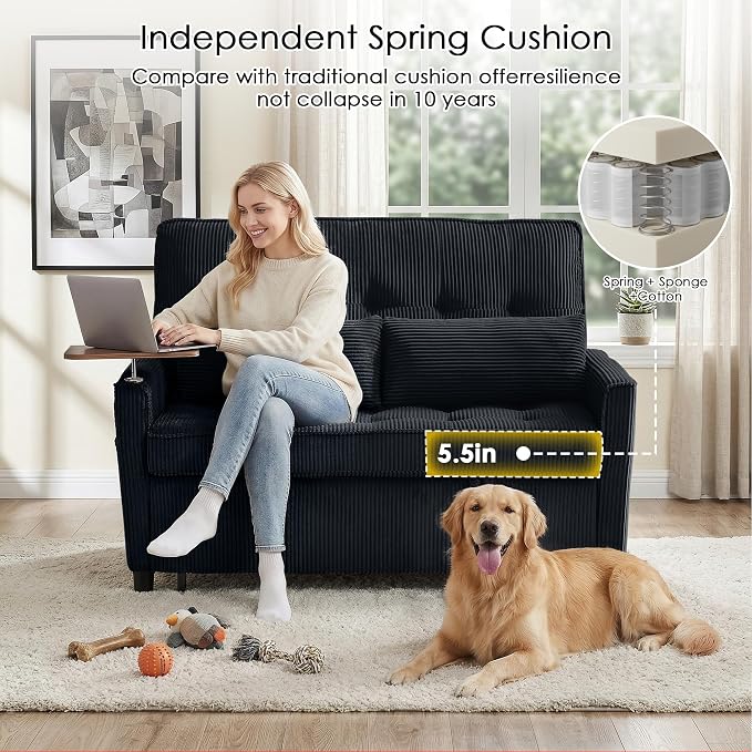 Sleeper Sofa Bed, Guest Room - Image 6