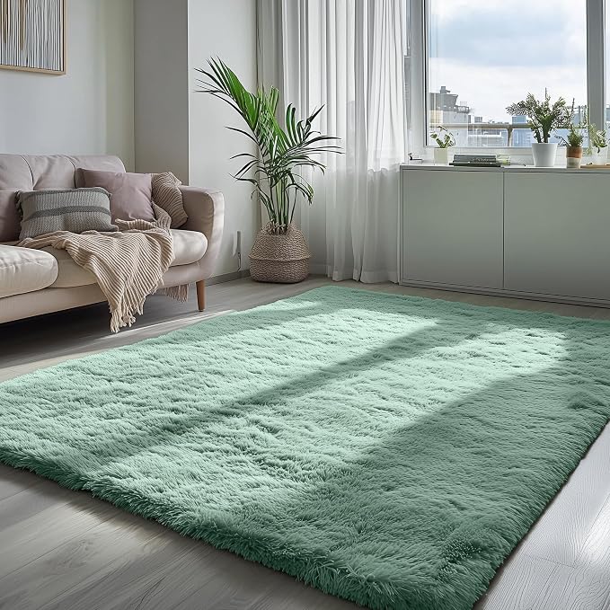 PAGISOFE Sage Green Rugs for Bedroom, 4x6 Ft Rectangle Fluffy Rug Plush Fuzzy by PAGISOFE