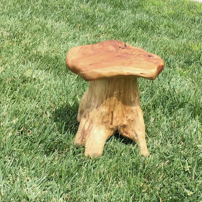 UKN Cedar Roots Naturally Shaped Mushroom Stool Side Table Stand Natural Cabin - Image 4