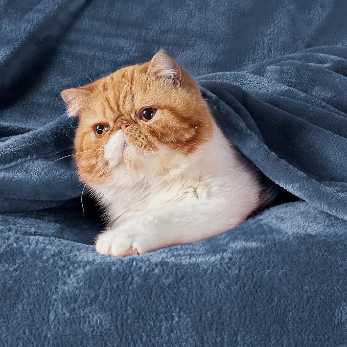 Bedsure GentleSoft Fleece Blankets Queen Size Mineral Blue - Image 2