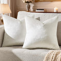 GIGIZAZA Beige Velvet Pillow Covers: Pack of 2 Throw Pillows Soft Solid Covers by GIGIZAZAFocusingonhomedecoration