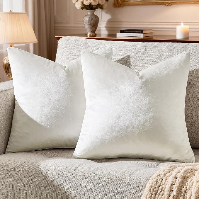 GIGIZAZA Beige Velvet Pillow Covers: Pack of 2 Throw Pillows Soft Solid Covers by GIGIZAZAFocusingonhomedecoration