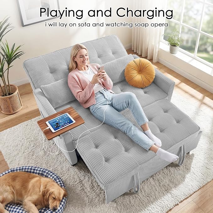 Sleeper Sofa Bed, Guest Room - Image 7