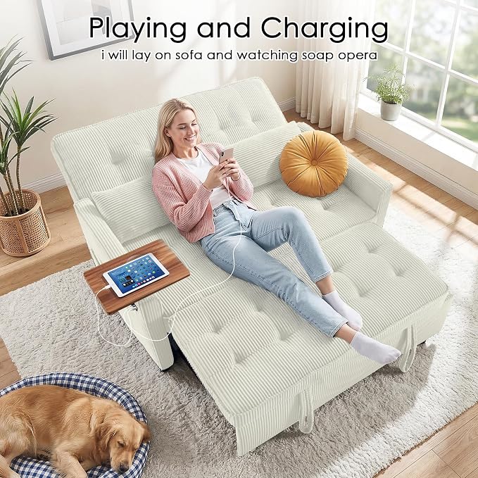 Sleeper Sofa Bed, Guest Room - Image 7
