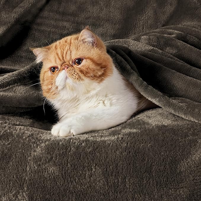 Bedsure GentleSoft Fleece Blankets Queen Size Brown - Image 2
