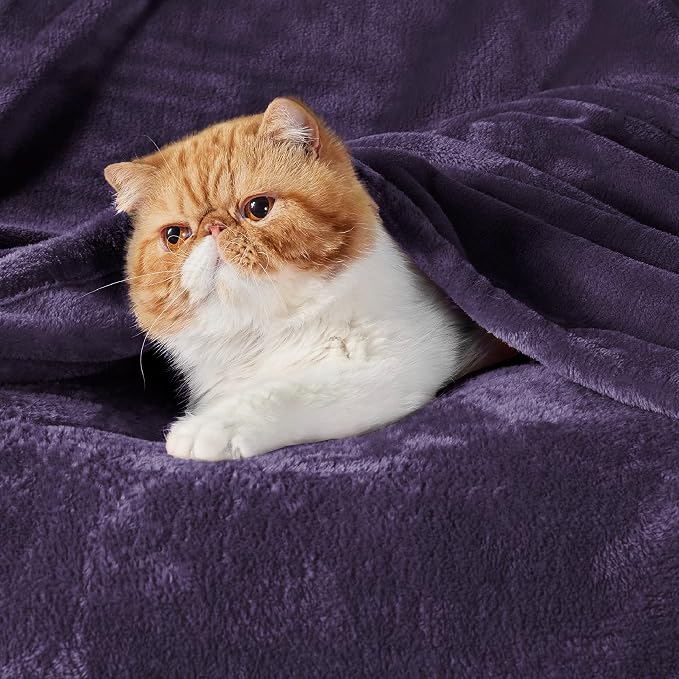 Bedsure GentleSoft Purple Fleece Blankets King Size - Image 2