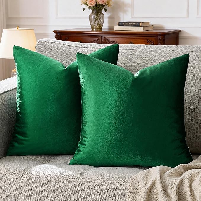 GIGIZAZA Decorative Couch Forest Green Pillow Covers, Square Sofa Velvet Pillow by GIGIZAZAFocusingonhomedecoration