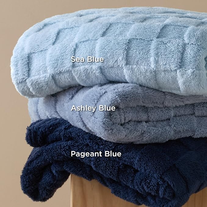 Bedsure GentleSoft Blankets Queen Size - Image 6