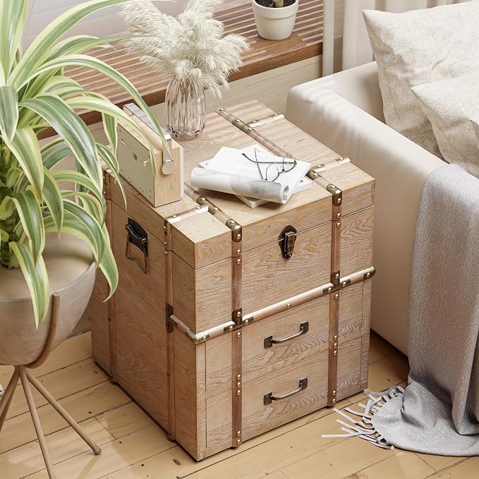 Aoikax Vintage Storage Chest - Image 5