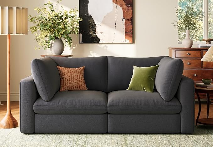 LINSY HOME Modern 2-Seater Sofa, Customizable Living Room Furniture by LINSYHOME