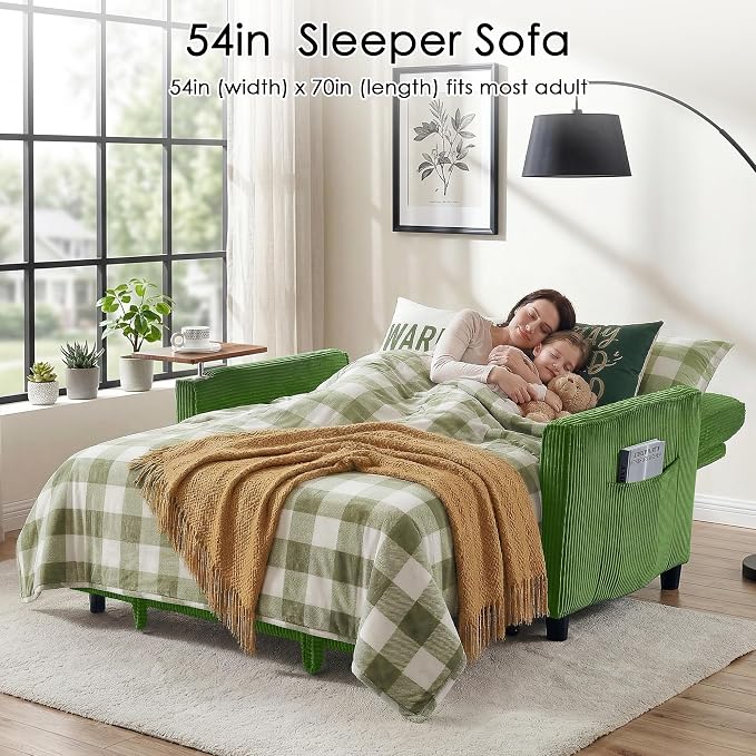 Sleeper Sofa Bed, Guest Room - Image 3