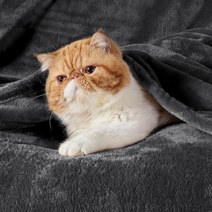 Bedsure GentleSoft Fleece Blanket Twin Size Dark Grey - Image 2