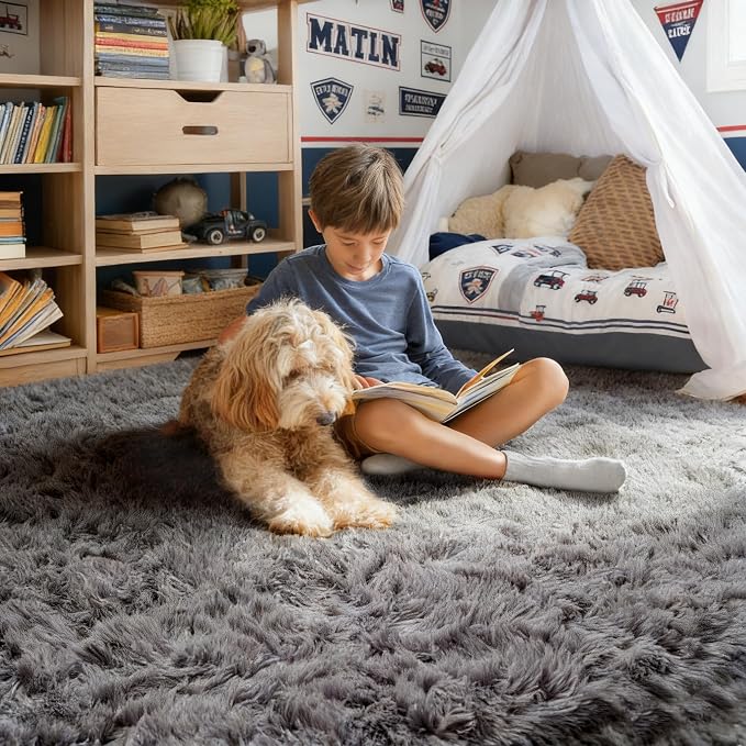 PAGISOFE 8x10 Living Room Rug Grey, Soft Large Rugs - Image 5
